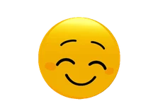smiley-face-gif-icegif 13