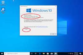 Windows 10 2004 (20H1) EN-US AIO (15in1) 19041.264 x64