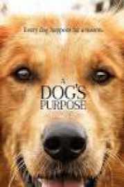 A Dogs Purpose 2017