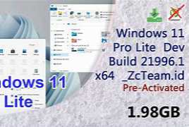 Microsoft Windows 11 build 21996.1  x64 + Activator [TheWindowsF