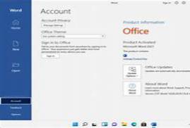 Windows 11 X64 22H2 22621.1105 Pro incl Office 2021 en-US LATEST 2023