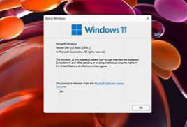 Microsoft Windows 11 build 21996.1  x64 + Activator [TheWindowsF