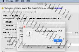 Synergy 1.10.1 Windows, Mac, Linux. +keygen